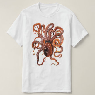 Camiseta gráfica de diseño de pulpo
