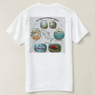 Camiseta Gráfica del ciclo de vida del salmón Kokanee