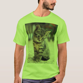 Camiseta Gráfica para Amantes de Gatos Pequeños y 