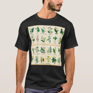 Camiseta Gráfico 1843