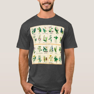 Camiseta Gráfico 1843
