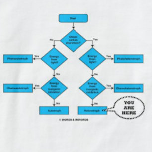 Camiseta Gráfico De Flujo Heterotrópico Aquí Está El Humor