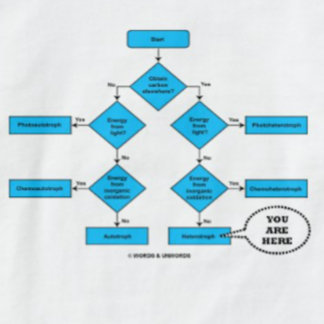 Camiseta Gráfico De Flujo Heterotrópico Aquí Está El Humor