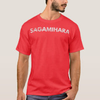 Gráfico de problemas de Sagamihara Japan