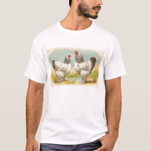 Camiseta Graham: Pollos Brahma ligeros