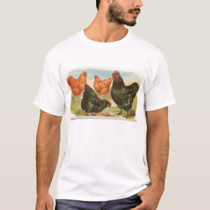 Camiseta Graham - Pollos Orpington