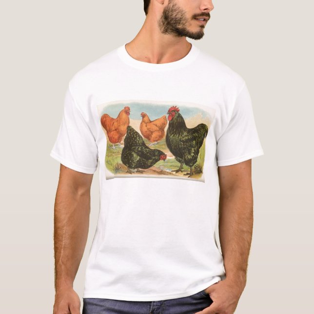 Camiseta Graham - Pollos Orpington (Anverso)
