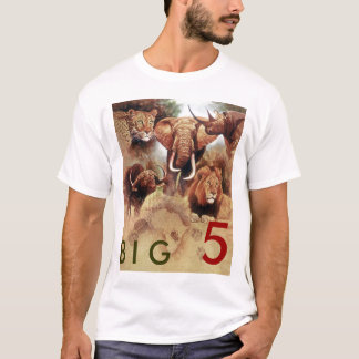 CAMISETA GRAN 5