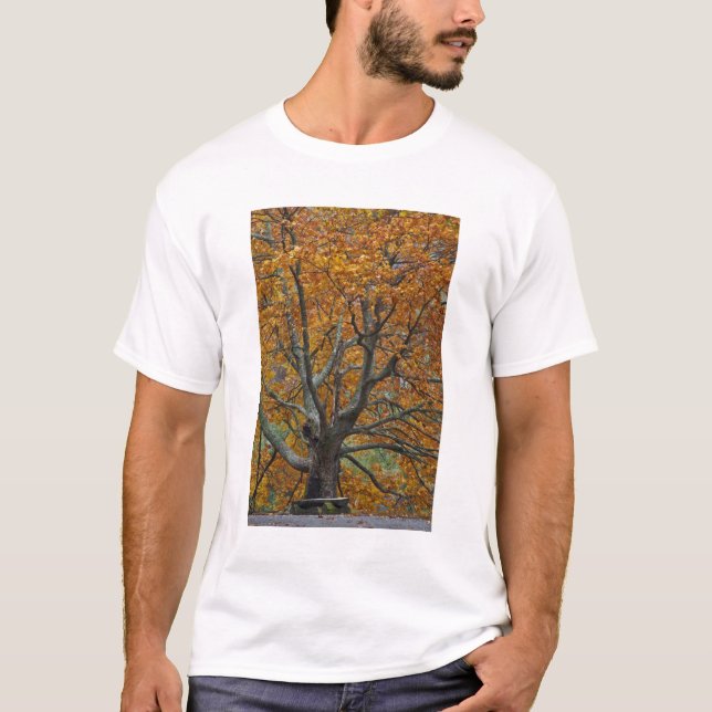 Camiseta Gran arce en otoño, lago Bass, cerca (Anverso)