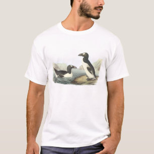 Camiseta Gran Auk de Audubon
