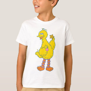 Camiseta Gran Ave con Ornamentos de Navidad