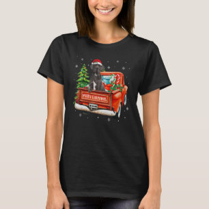 Camiseta Gran Danés Cabalga Camión Rojo Navidad Perro Pijam