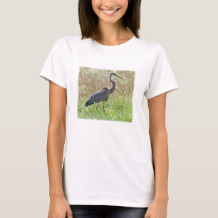 Camiseta Gran garza azul - Ardea herodias