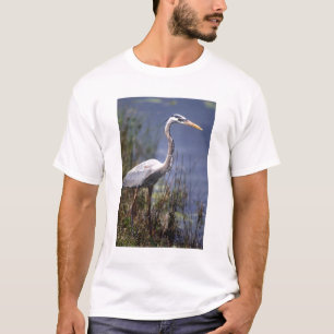 Camiseta Gran garza azul ave de agua
