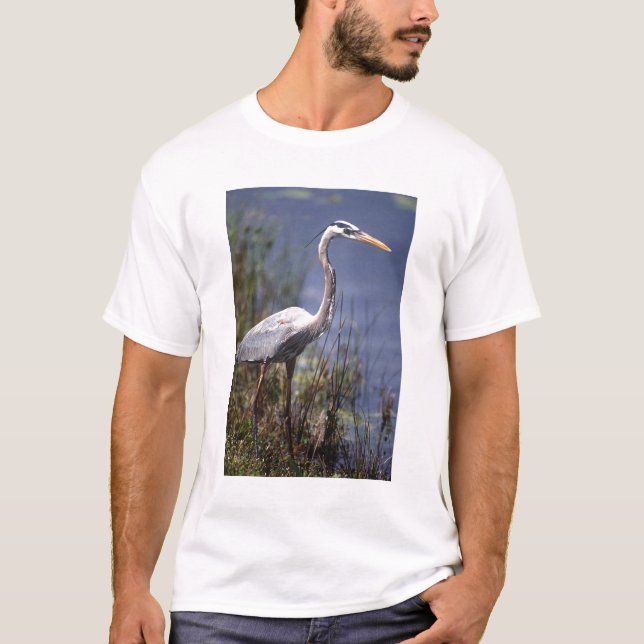 Camiseta Gran garza azul ave de agua (Anverso)