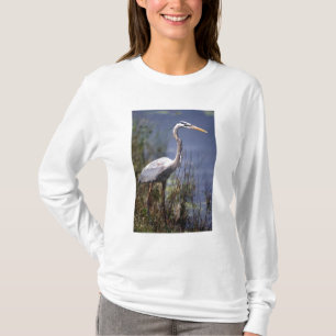 Camiseta Gran garza azul ave de agua
