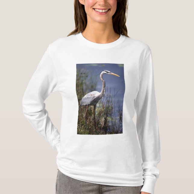 Camiseta Gran garza azul ave de agua (Anverso)