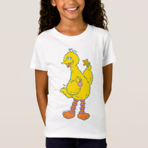 Camiseta Gran Pájaro sosteniendo adornos de Navidad