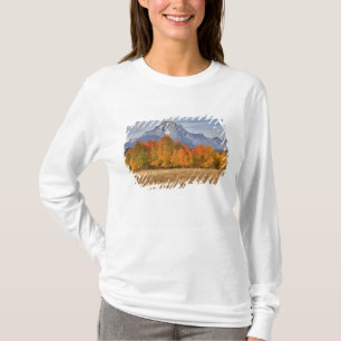 Camiseta Gran Parque Nacional Teton, Monte Moran y árboles