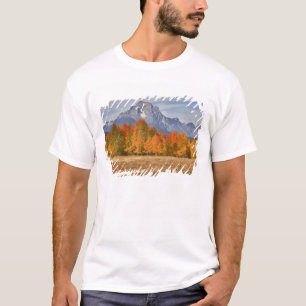 Camiseta Gran Teton NP, Monte Moran y álamos