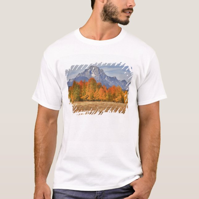 Camiseta Gran Teton NP, Monte Moran y álamos (Anverso)