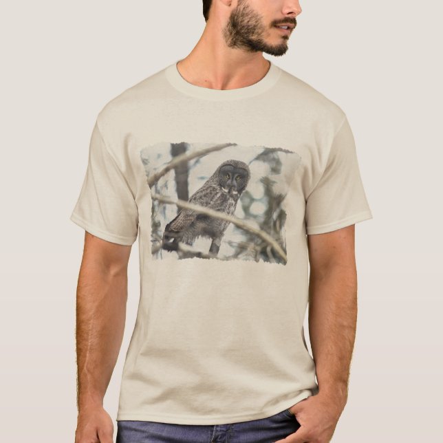 Camiseta Grandiosa lechuza gris con el arte de vida salvaje (Anverso)