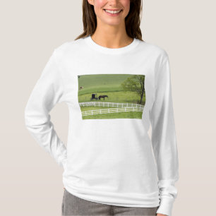 Camiseta granja Amish con caballo y carruaje cerca de Berlí