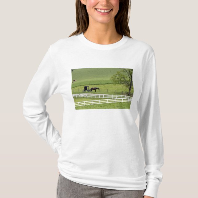 Camiseta Granja de Amish con caballos y buggys cerca de Ber (Anverso)