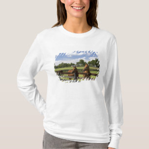 Camiseta Granja de caballos arturada en el condado de Mario