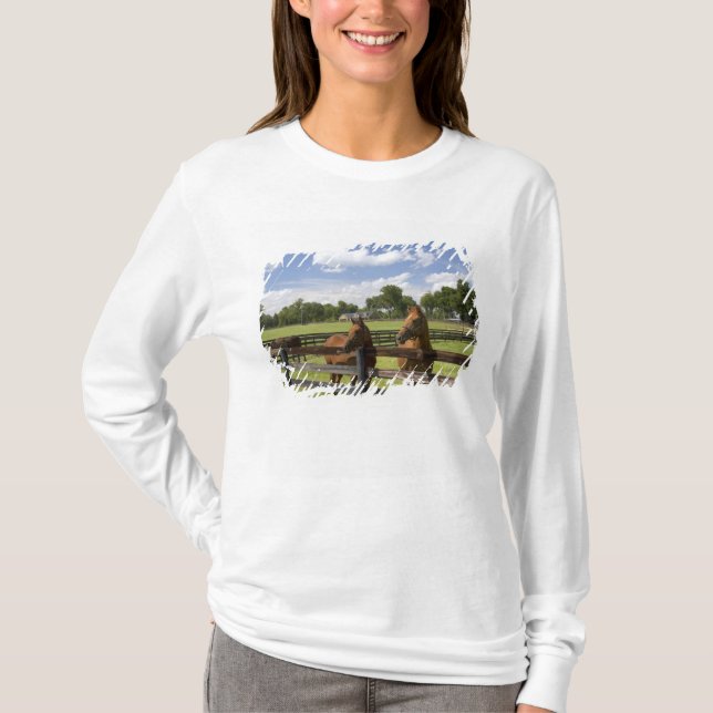 Camiseta Granja de caballos arturada en el condado de Mario (Anverso)