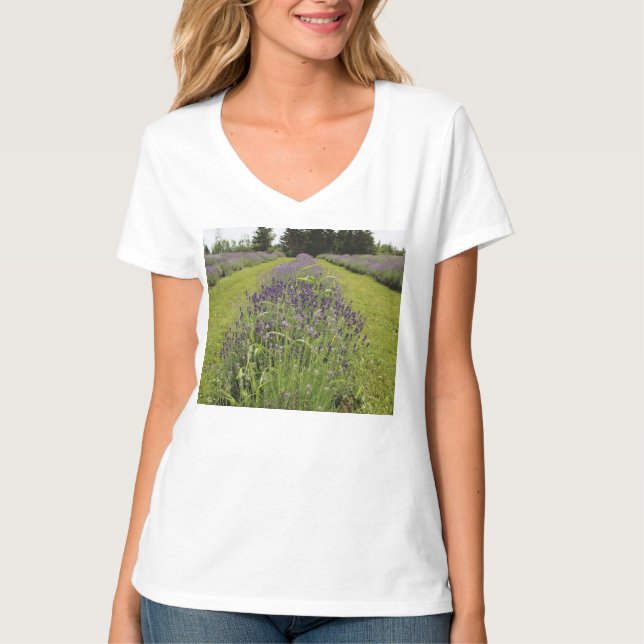 Camiseta Granja de lavanda de hidrocarburos (Anverso)