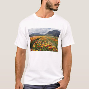 Camiseta Granja de tulipanes cerca de Agassiz, Columbia Bri