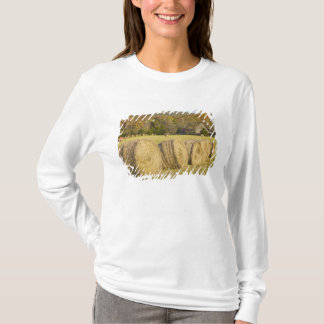 Camiseta Granja histórica en el río nacional Buffalo,