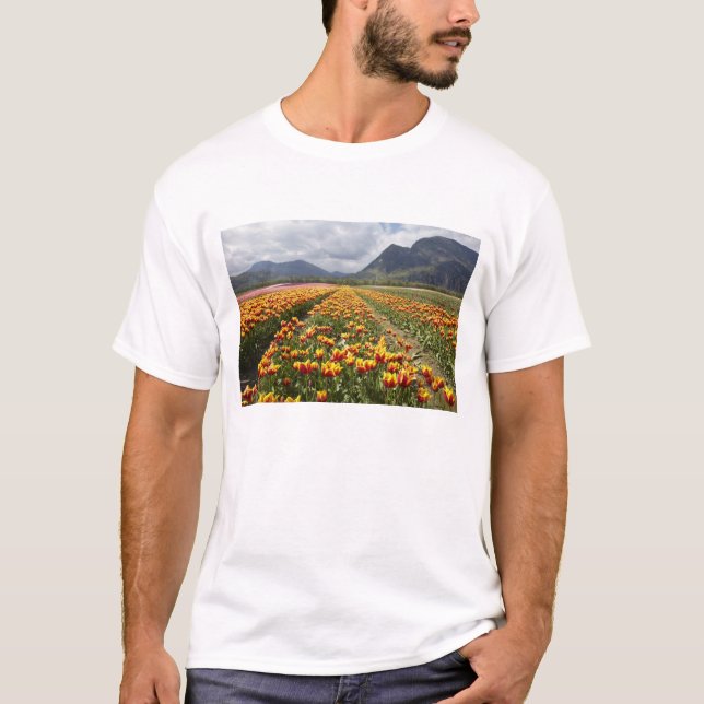 Camiseta Granja Tulip cerca de Agassiz, Columbia Británica (Anverso)
