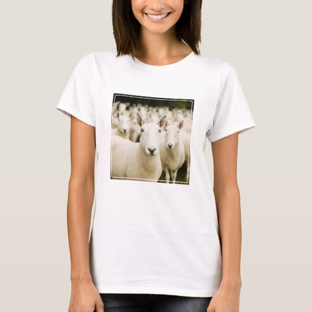 Camiseta Granjas | Manada de ovejas (Anverso)