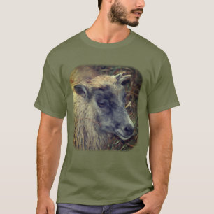 Camiseta Grano de oveja