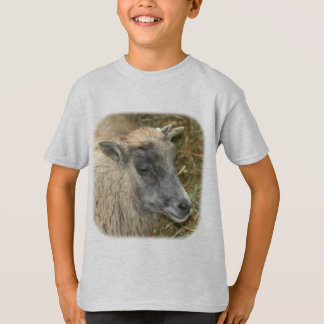 Camiseta Grano de oveja