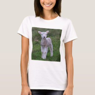 Camiseta Grano de oveja para lactantes