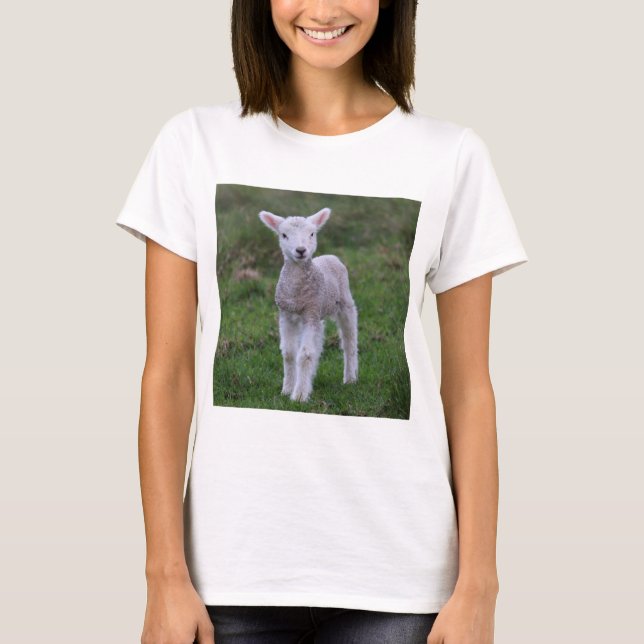 Camiseta Grano de oveja para lactantes (Anverso)