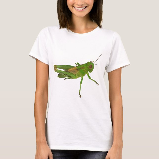 Camiseta Grasshopper (Anverso)