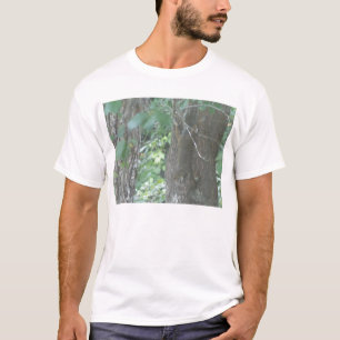 Camiseta ¿Gravedad?
