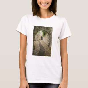 Camiseta Gray Cobblestone street, Francia