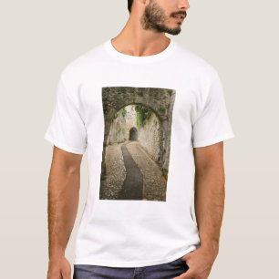 Camiseta Gray Cobblestone street, Francia