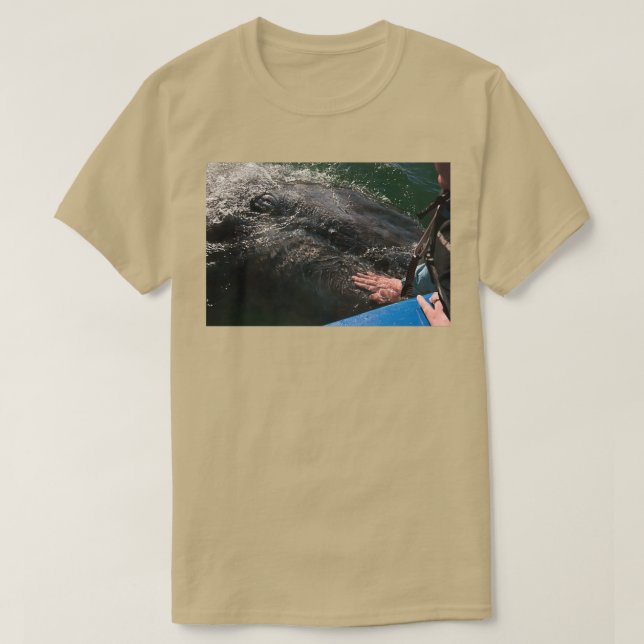 Camiseta Gray Whale Calf (Diseño del anverso)