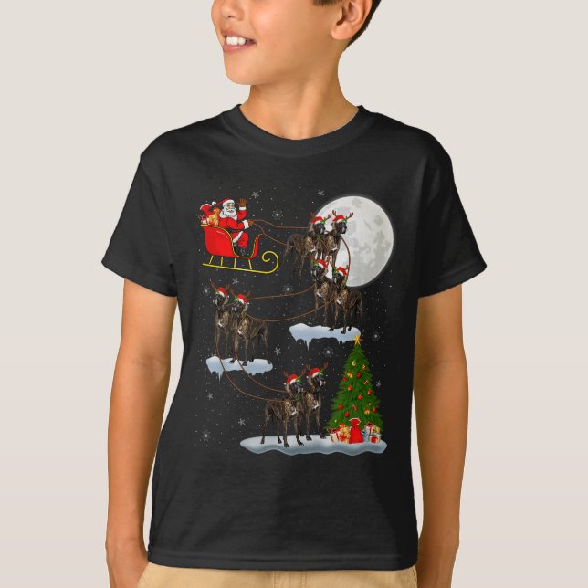 Camiseta Great Dane Dog Santa Sleigh Flying Funny Magical C (Anverso)