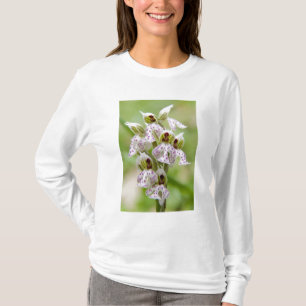 Camiseta Grecia, Creta. Orquídea en flor Orchis