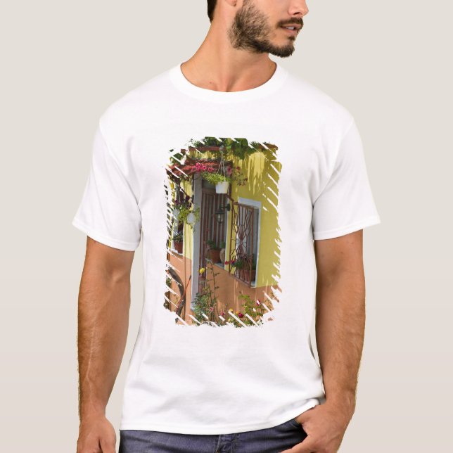 Camiseta GRECIA, Islas del Egeo Nororiental, LESVOS (Anverso)