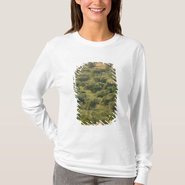 Camiseta GRECIA, Islas Jónicas, KEFALONIA, Havriata: (Anverso)