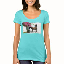 GreekIslandHouse.com Mascota del burro