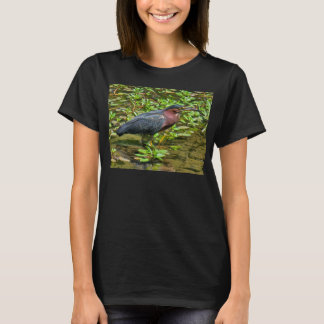 Camiseta Green Heron (Butorides virescens)